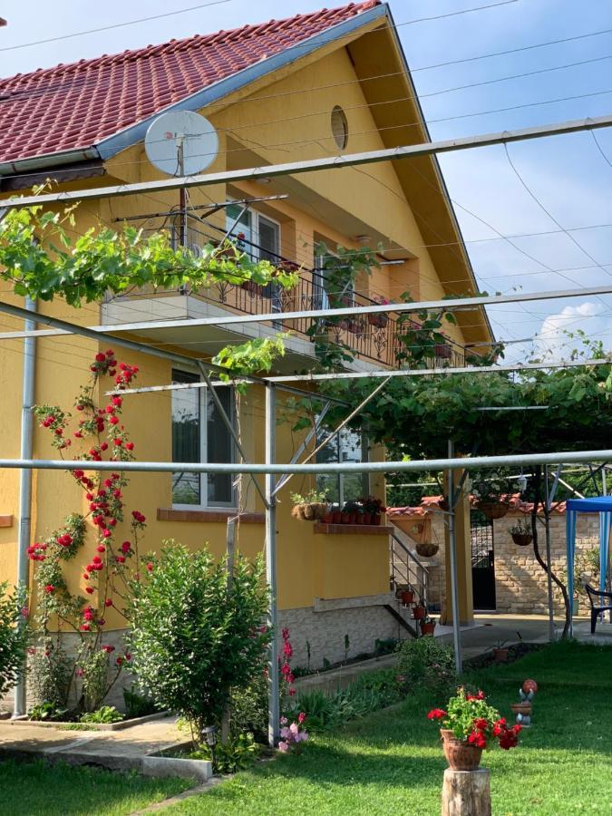 Vila V S. Gabarevo, Dolinata Na Rozite. Villa Ngoại thất bức ảnh